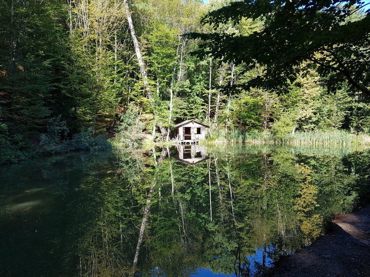 Черепашье озеро по дороге на Ай-Петри