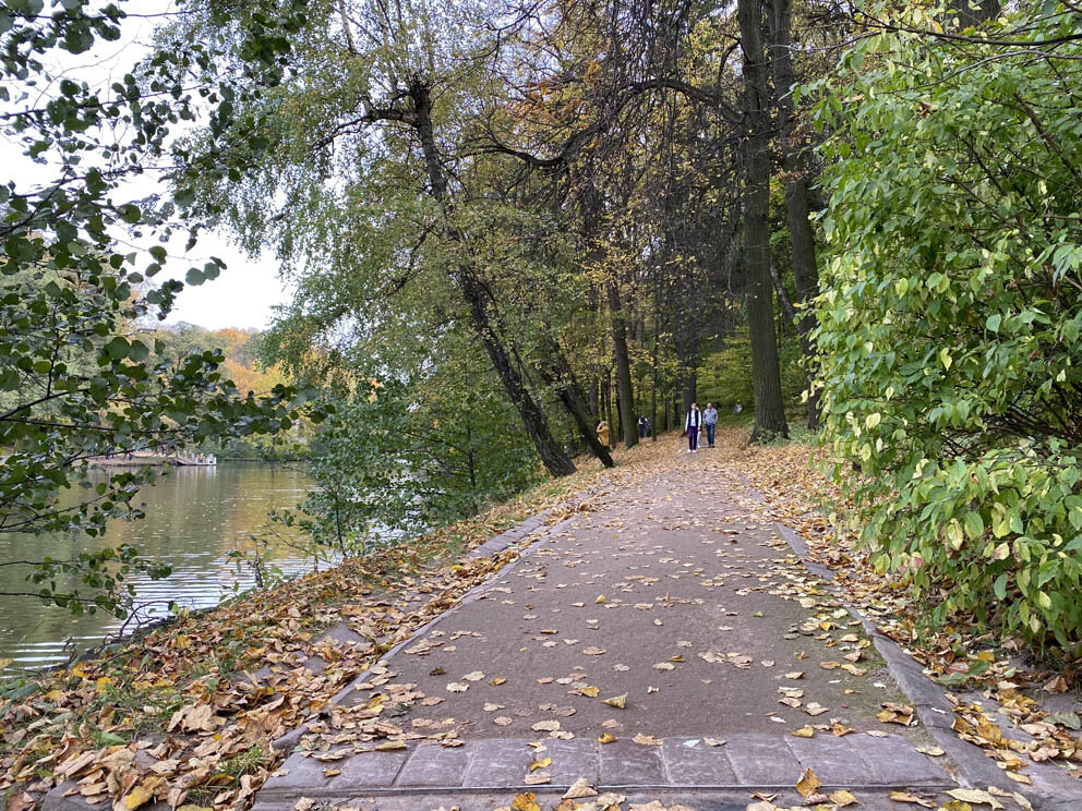 Прекрасная аллея для пробежек вдоль Царицынского пруда и речки Язвенки