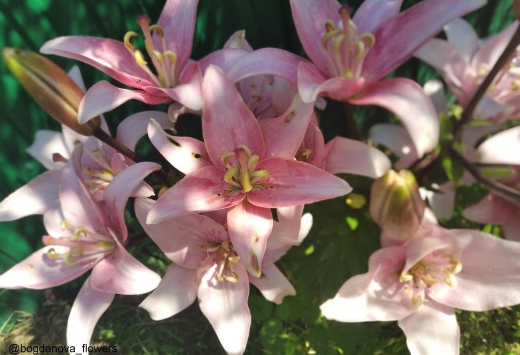 фото из личного архива автора