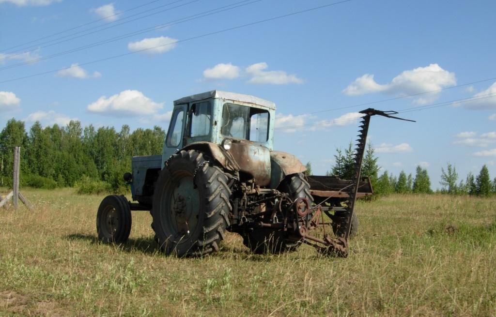 Фото из Яндекс Картинок