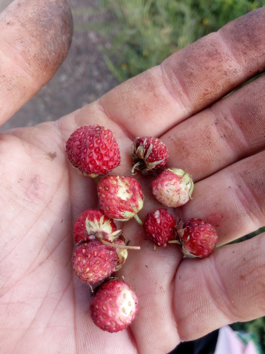 фото из личного архива автора