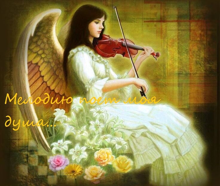 картинка автора