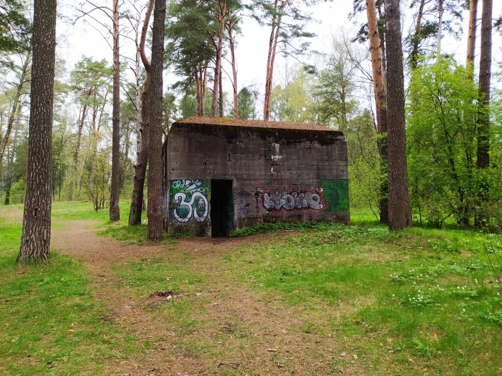 Надземная часть бункера Гитлера "Bärenhöhle" в мае 2021 года. Местные жители участвовавшие в строительстве бункера утверждают, что основные помещения располагаются на глубине не менее 10-12 метров