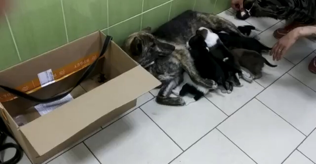 Рада с малышами 