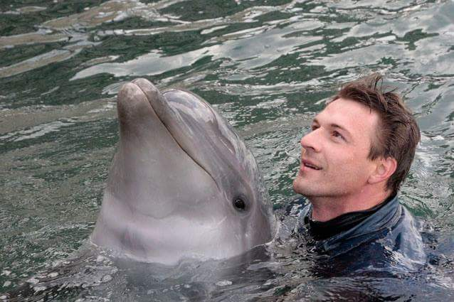 Самое любимое занятие для актера – плавание с дельфинами, умными и добрыми существами. Источник: https://biographe.ru/znamenitosti/konstantin-strelnikov