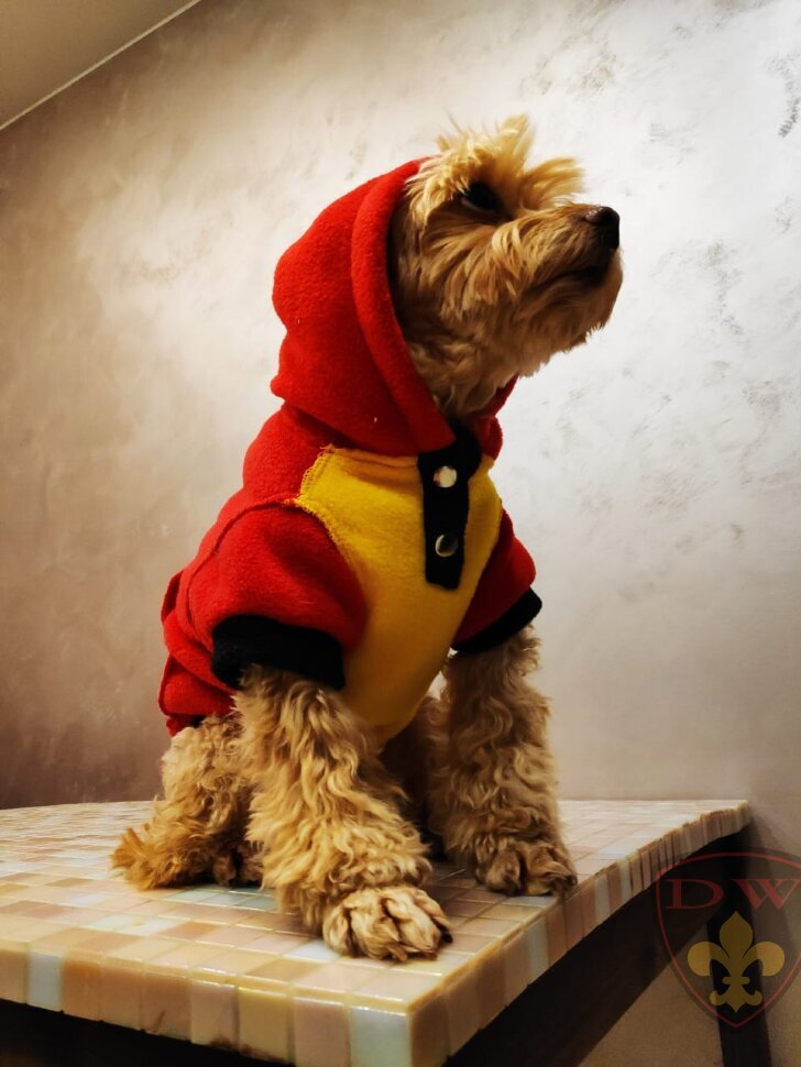 БОМБЕР MINI. Кофта для щенков мелких пород (левретка, терьер, цвергпинчер, пудель, ксоло мини) и для собак: той терьер, чихуахуа