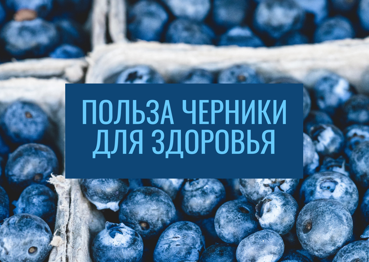 Черника