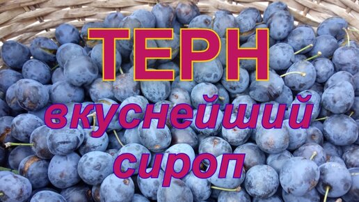 Терн меню. Тернослива. донской моченый терн.