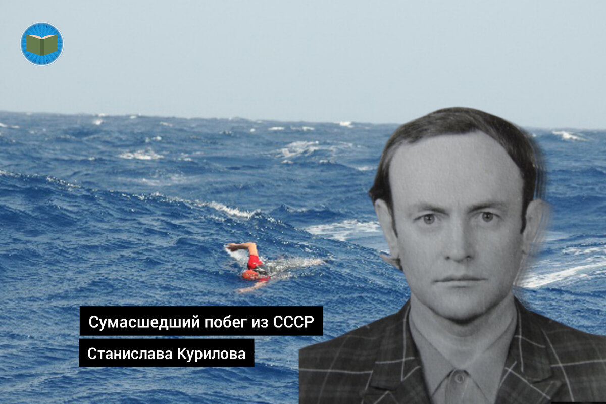 Иллюстрация автора 