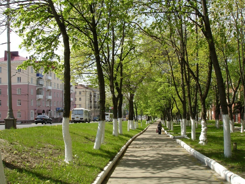 Бульвар Трубникова, изображение №1 