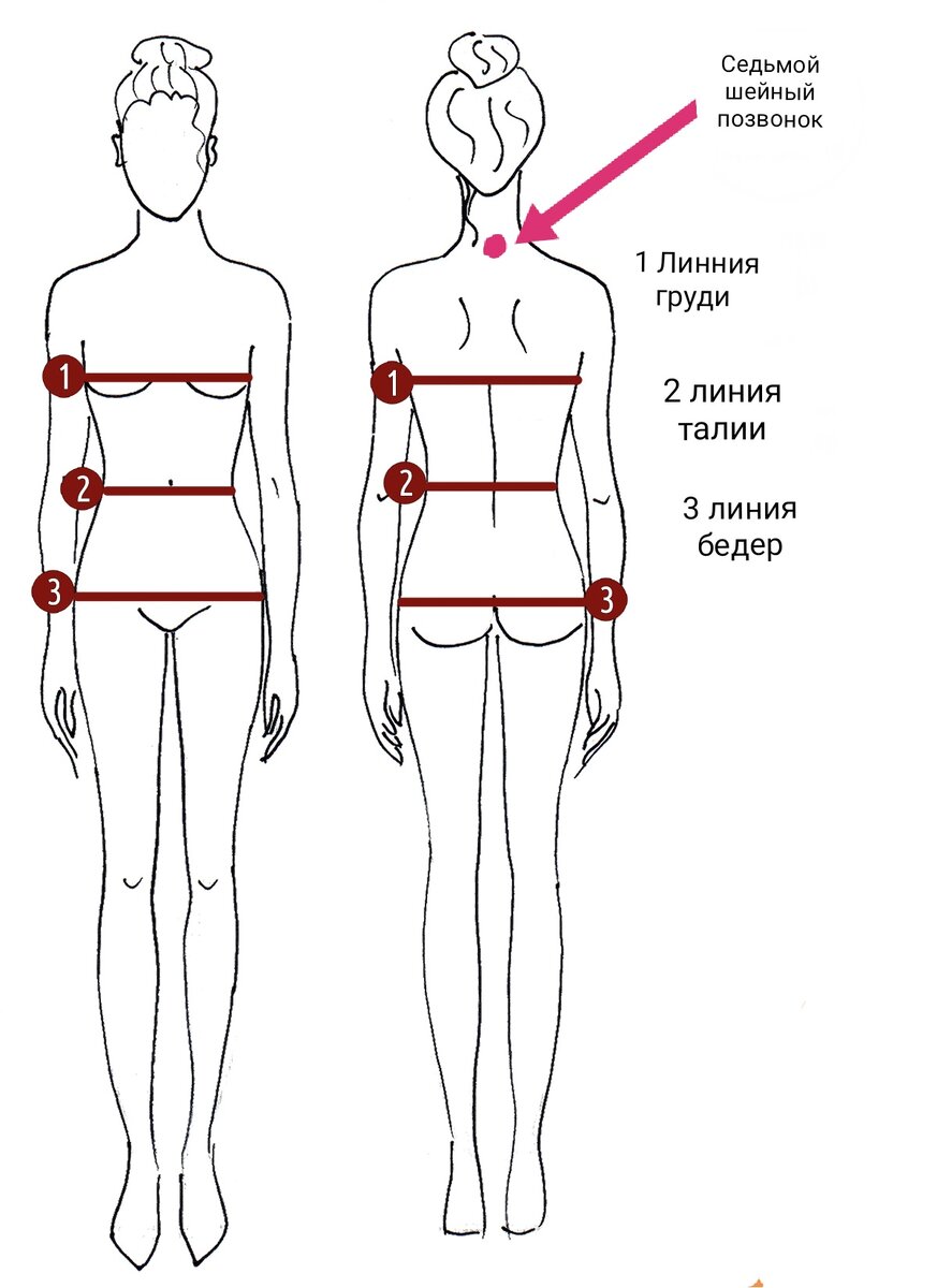 Как правильно снять мерки для пошива одежды