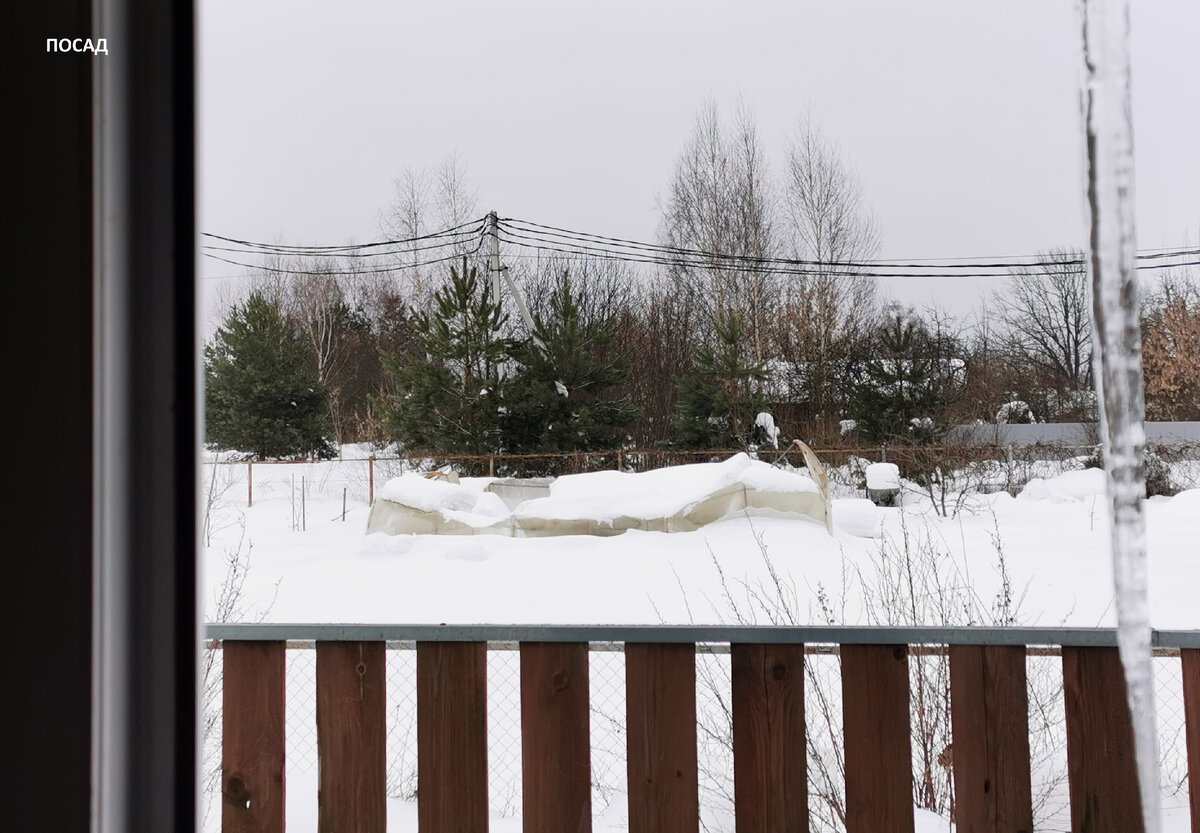 Подобное я увидела впервые: теплицу просто сплющило.