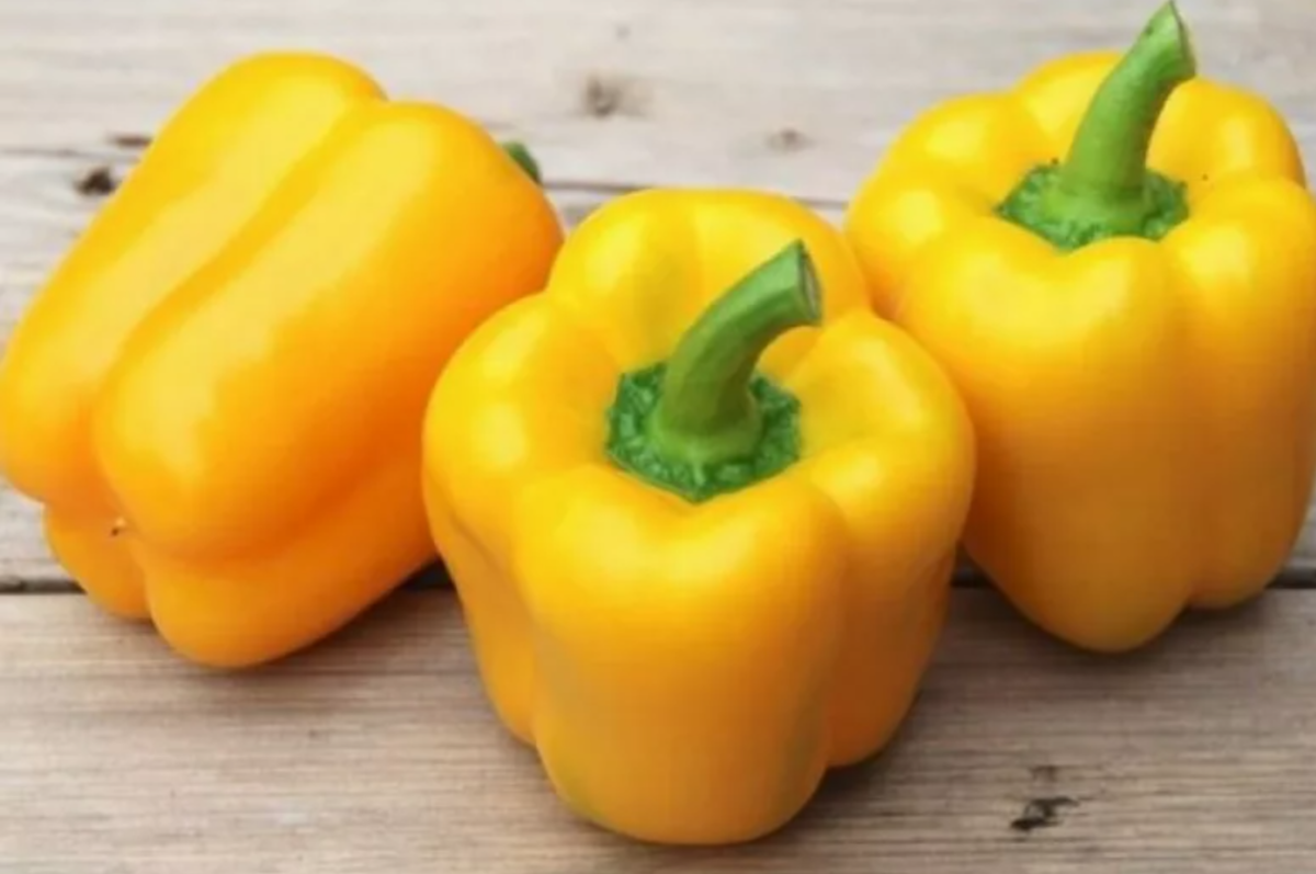 Источник: Яндекс картинки.