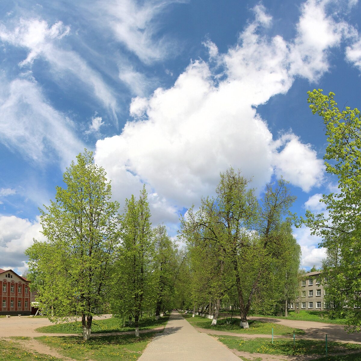 Весенняя липовая аллея в Бежецке. Фото: А. Крохмалюк