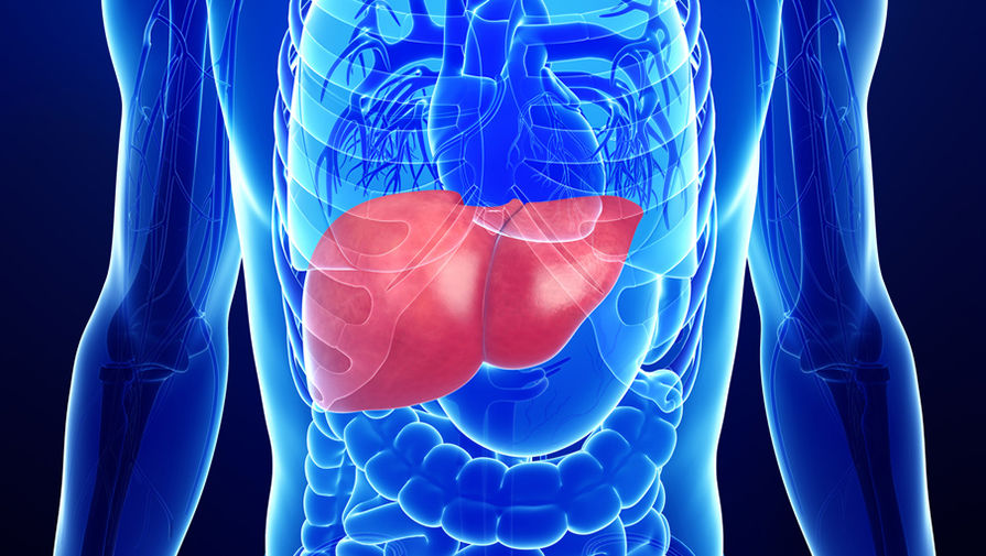 Добавьте описание