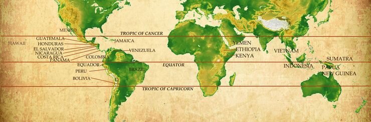 Кофейный пояс земли находится между тропиками Рака и Козерога