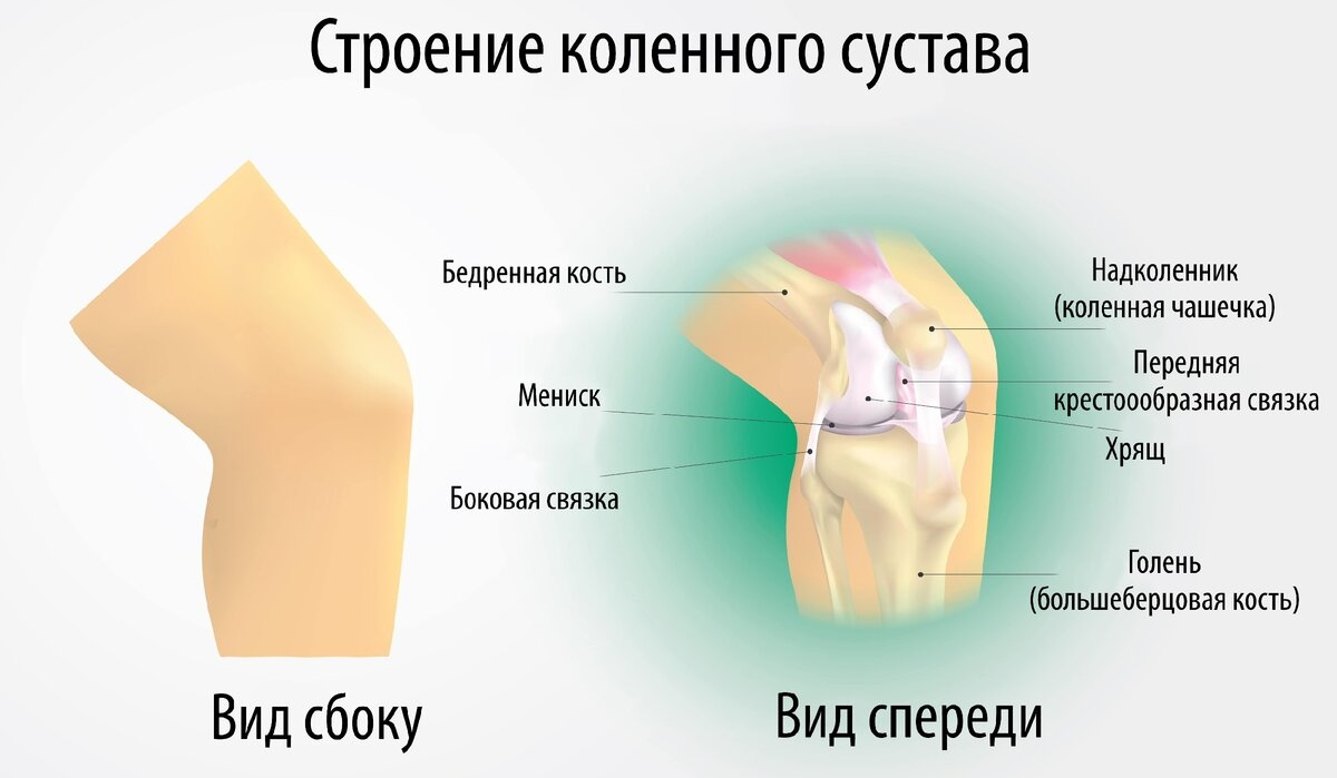 Боль в колене: причины, лечение, к какому врачу обратиться - полезные статьи