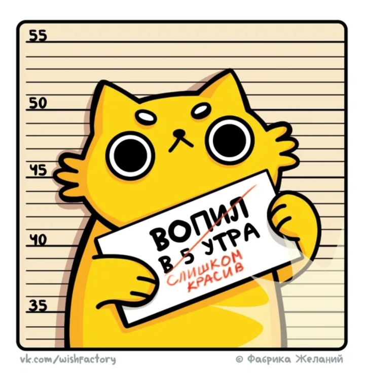 Котикииии!!!!!