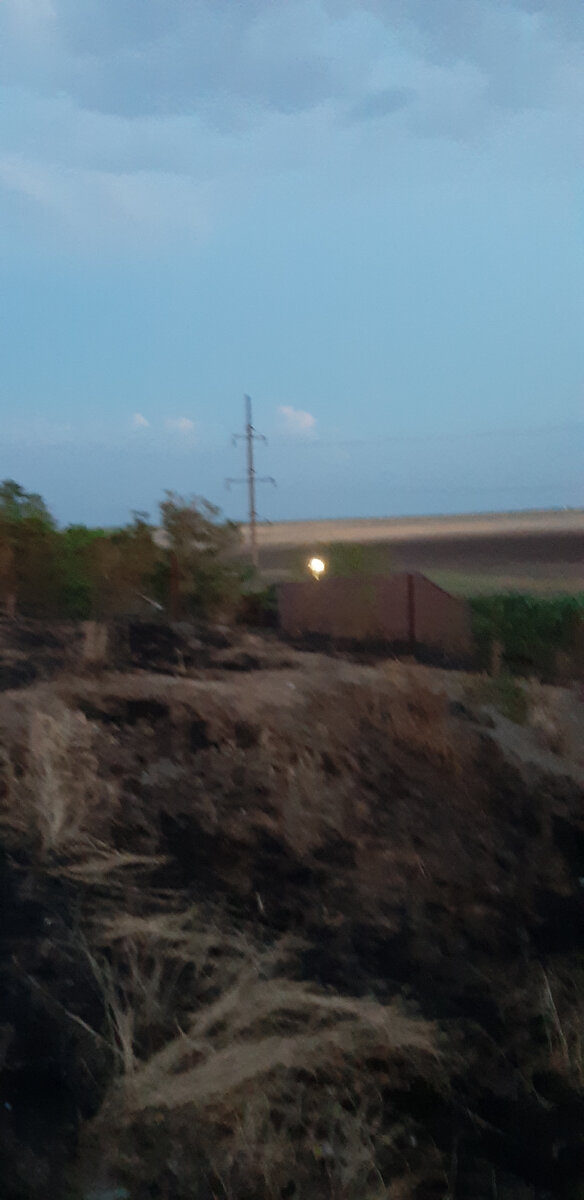 Вечерний вид на плавни Меотиды с кургана