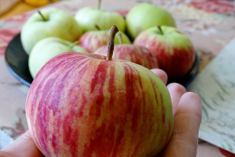     Липчан приглашают на ярмарку Юлия КЛЮЕВА