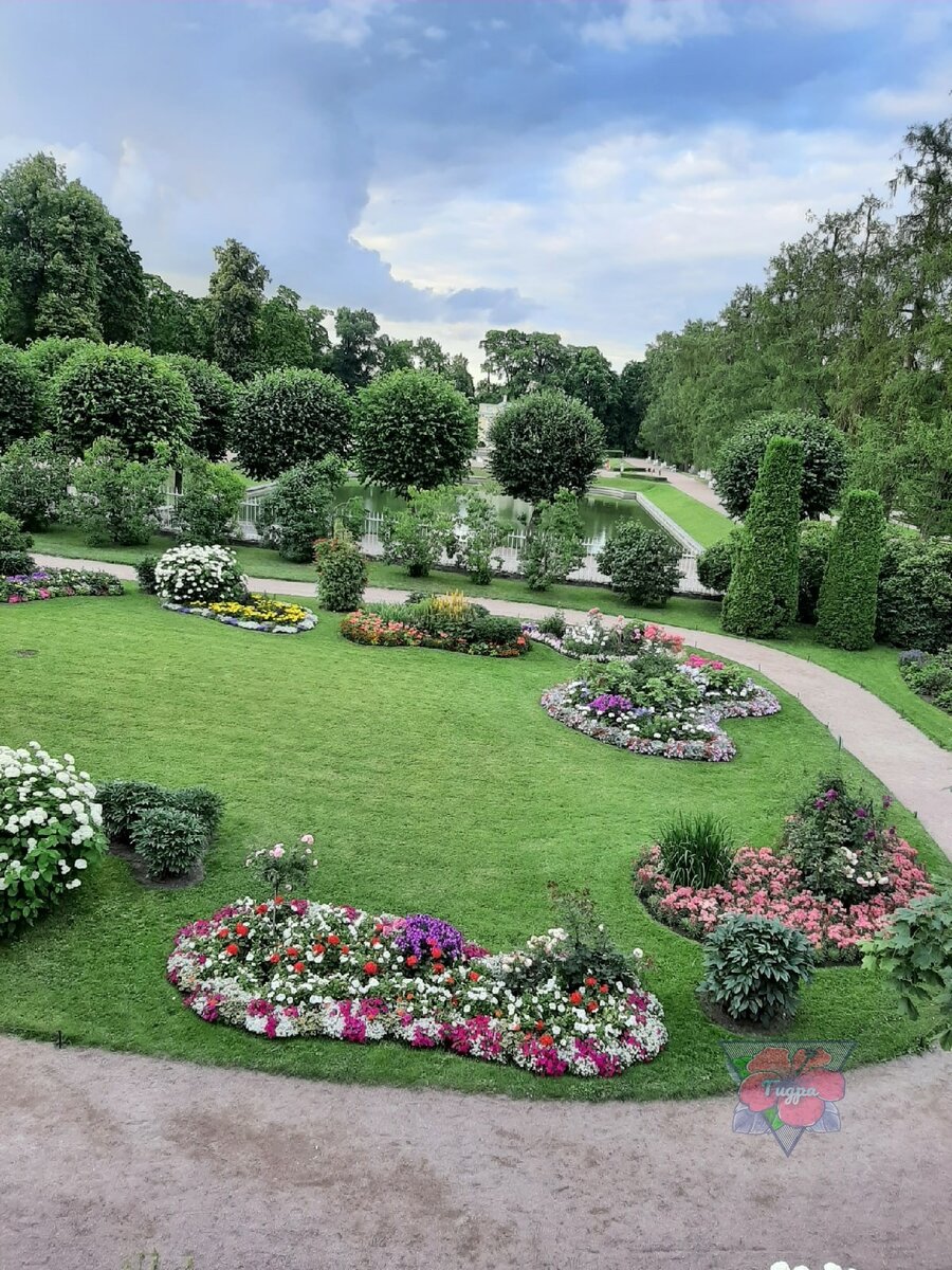 Екатерининский парк в Пушкине. Прекрасные растения, чудесные цветники.  Красотища! | Гидра | Дзен