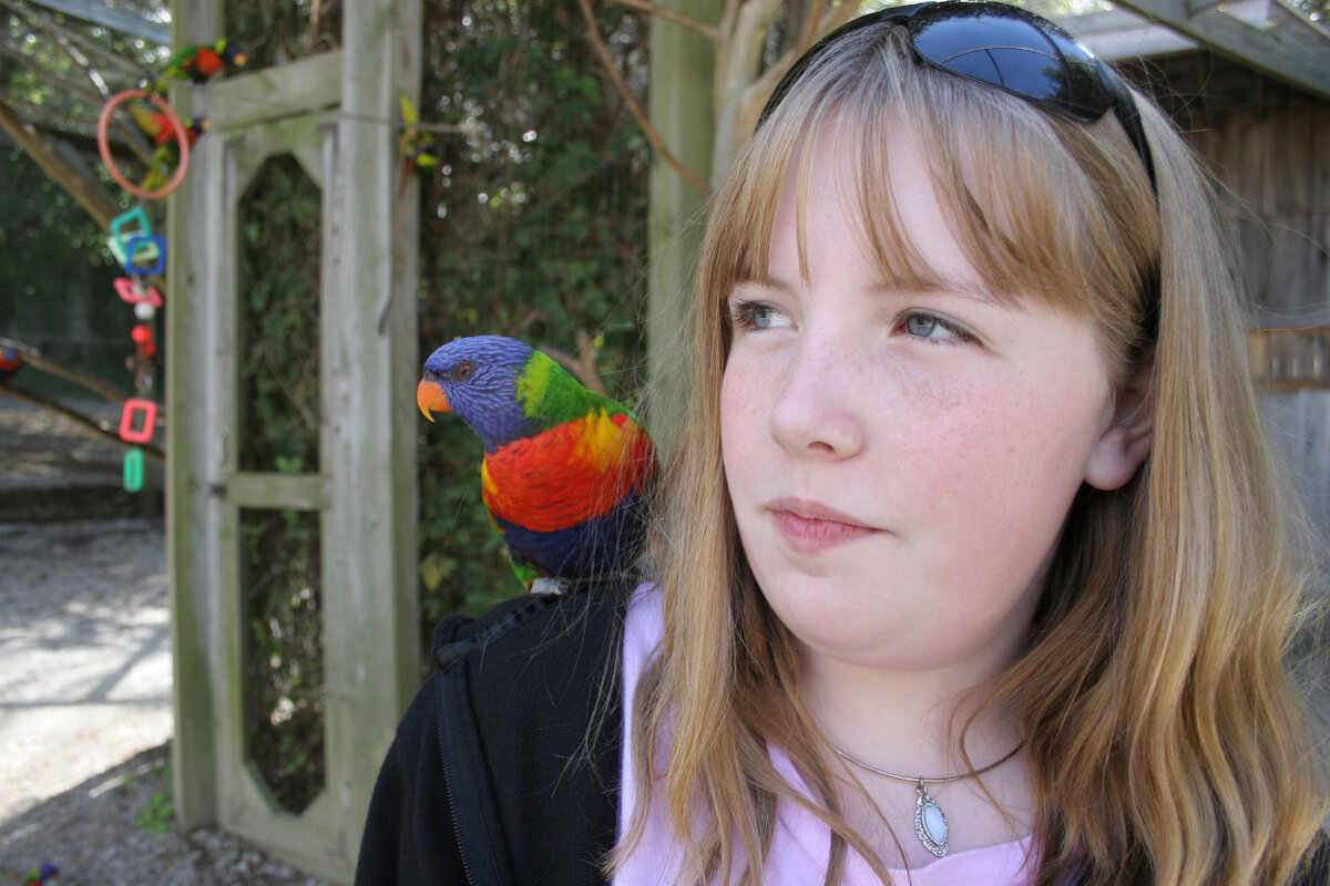 Попугай Лори на плече у девушки