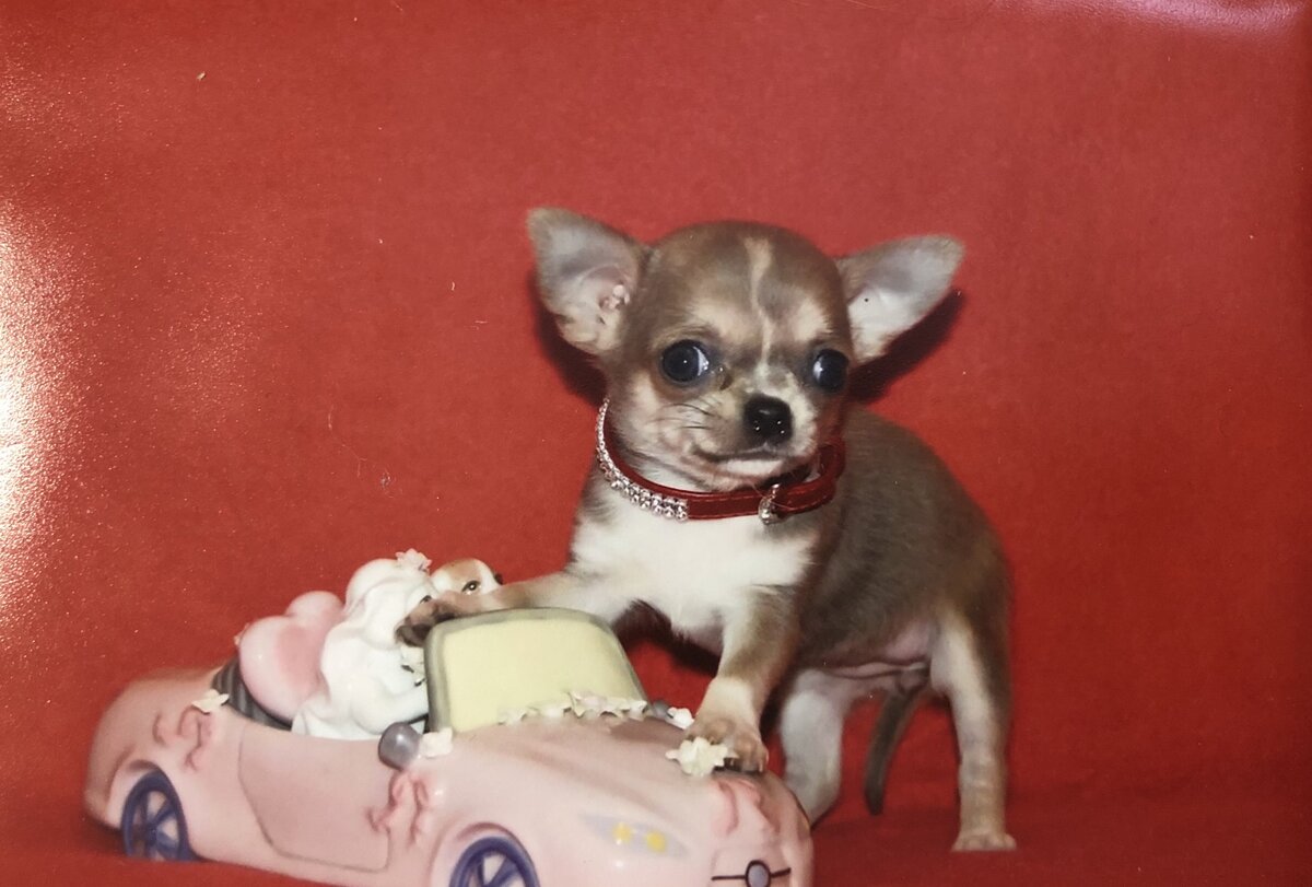 Маленькая Люська