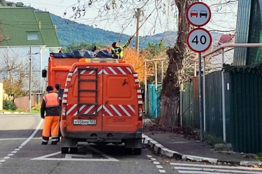 Фото — администрация МО город-курорт Геленджик