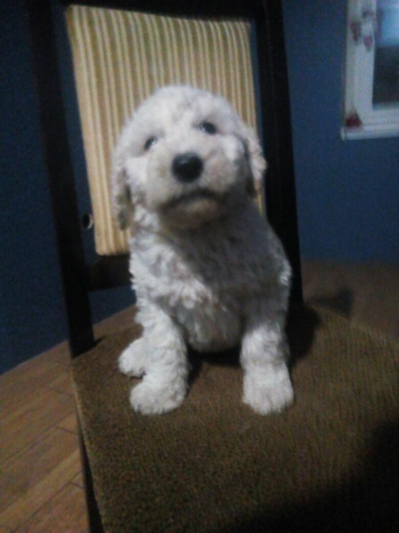 фото автора Джолин!!!