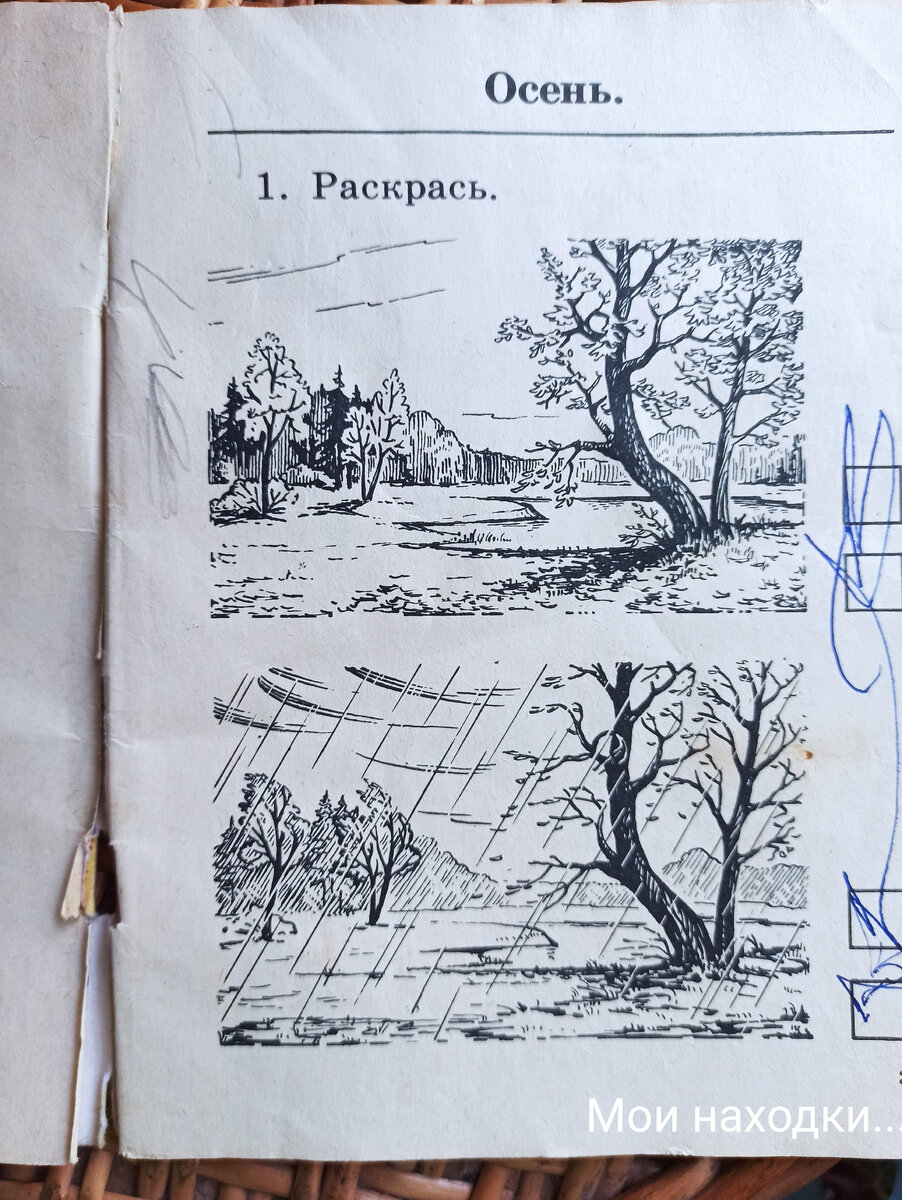 Советская школа: природоведение и дневник наблюдения над природой. |  🔹Ретро — это не просто термин - ЭТО ЭМОЦИЯ. | Дзен