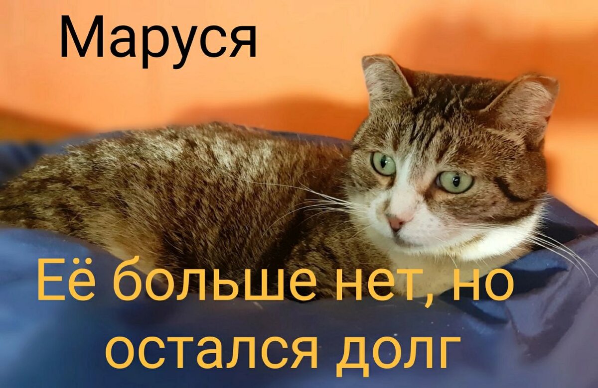 Объявляем день стольника. Хвалите меня. Можно хоть 10. Статусы про терпеливых людей. Можно хоть 10.