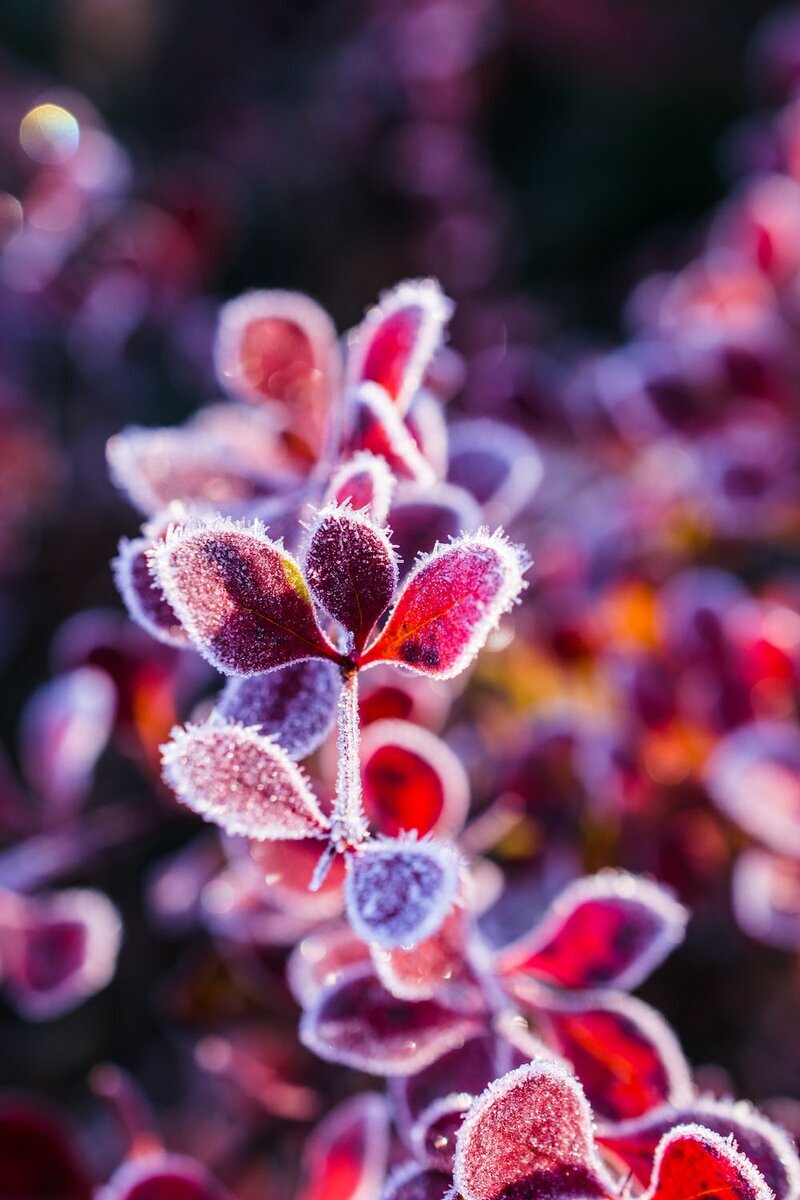 Photo by Austris Augusts / Unsplash 