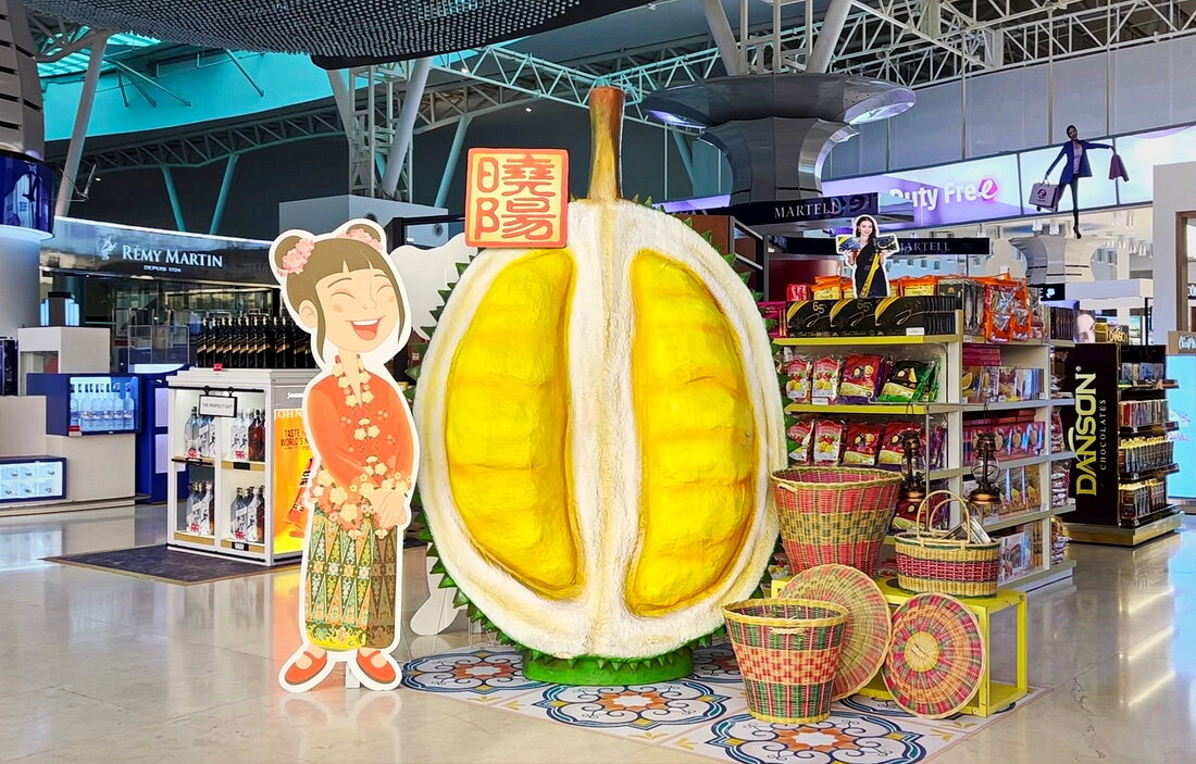 что привезти из малайзии