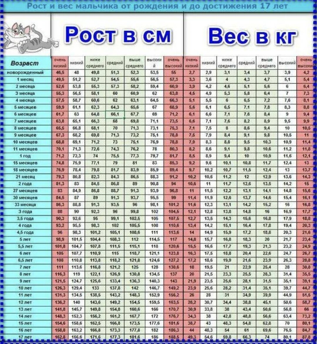 раст и вес в 5 лет фото 1