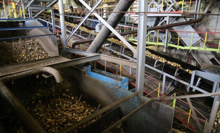    Сахарные заводы Орловской области вложили 900 млн рублей в ремонт и модернизацию производства в 2023 году