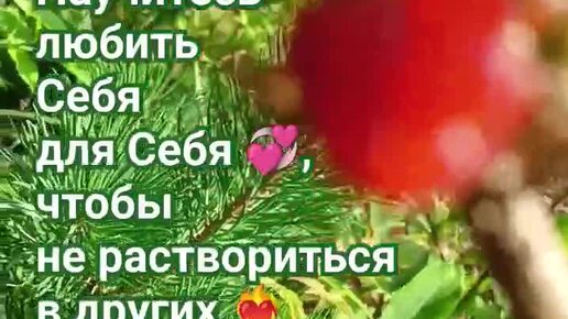 Дарья Казанкова, трансперсональный психолог💫 | Ролик от 16.08.2023 ...