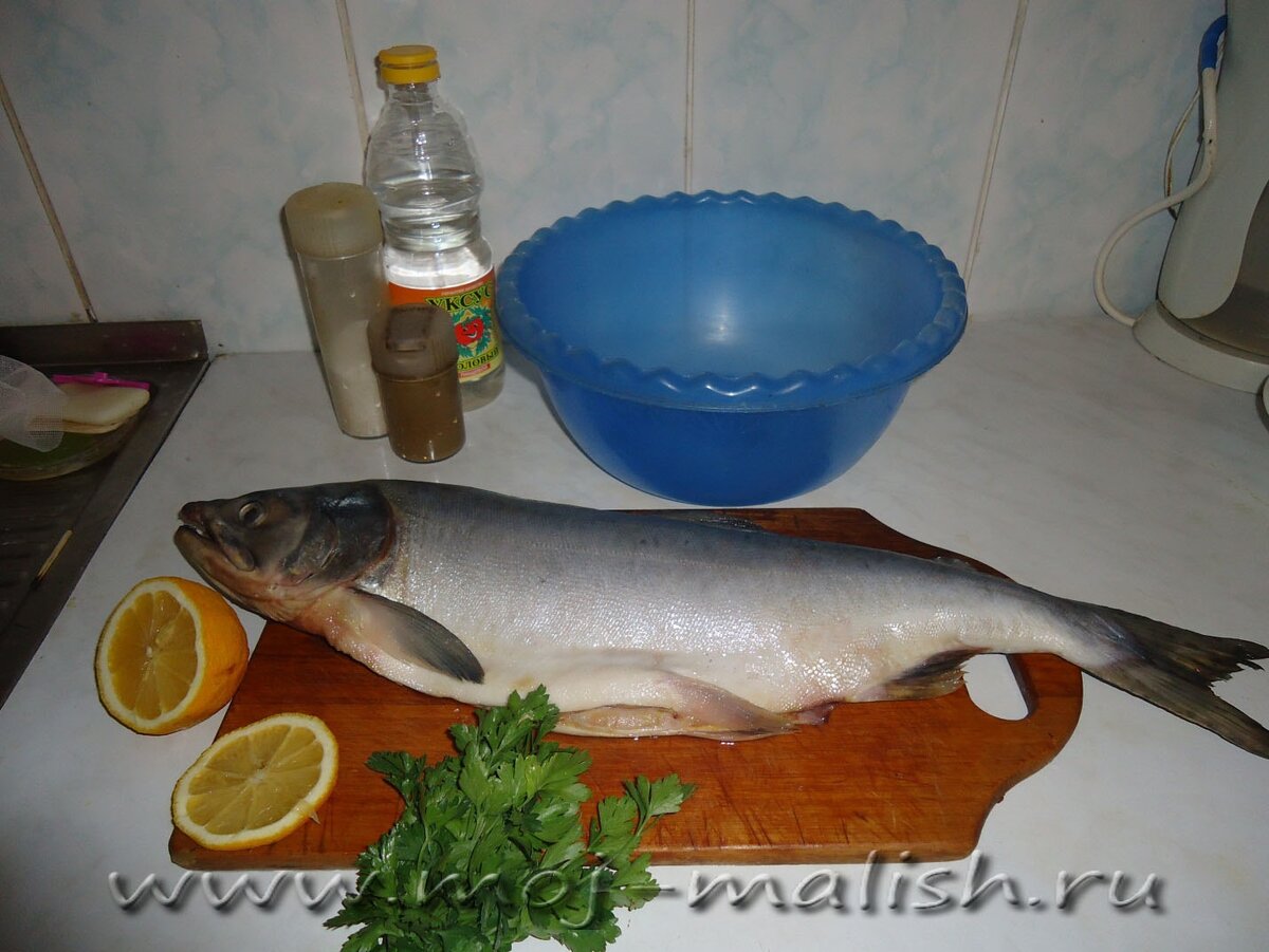 Самые свежие рецепты для Вас!