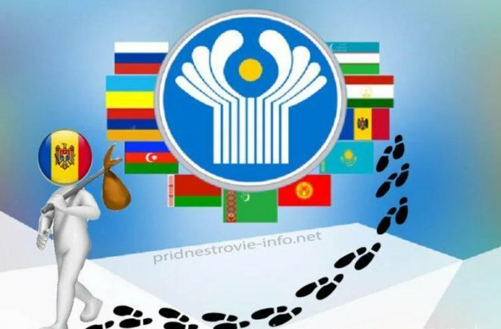 фото с сайта tgstat.ru