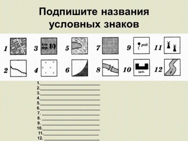 Методы обозначения деревьев на плане местности