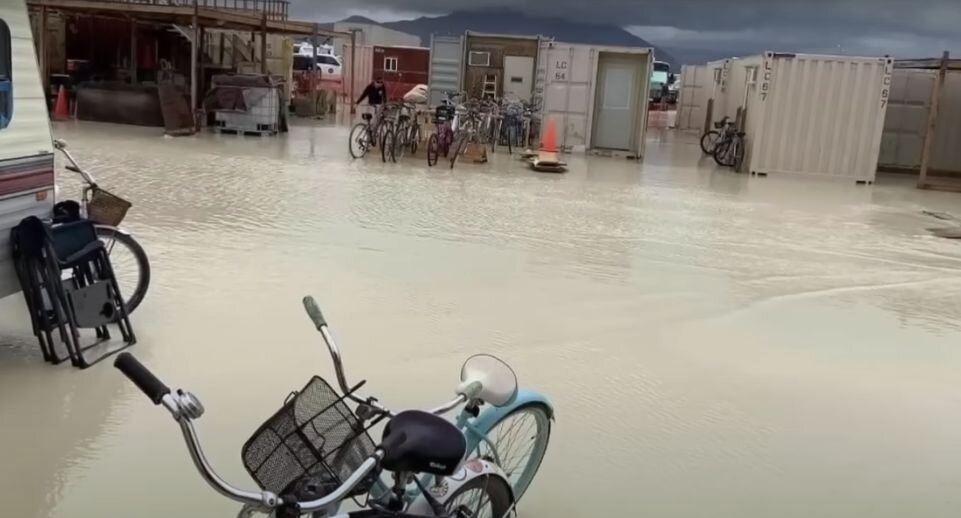Фото: скриншот из видео с официального аккаунта KTVU Fox 2 San Francisco📷
