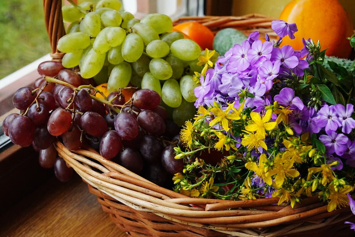 Дачный агроном 