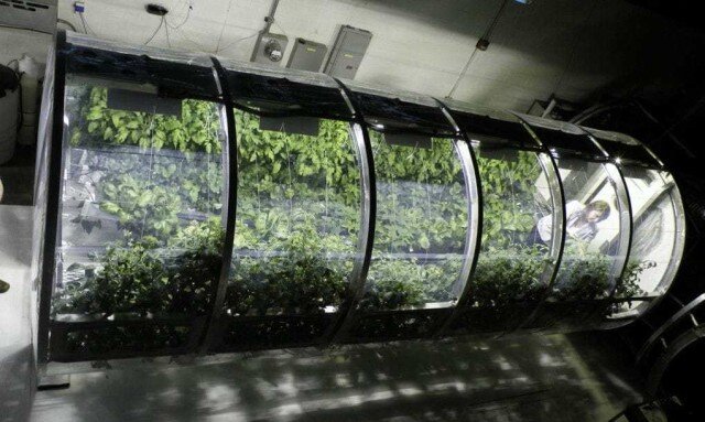 Это уже не научная фантастика