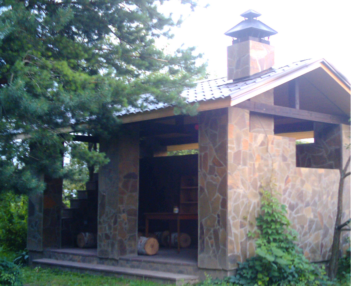 Если приглядеться, видно, что молодые побеги тянутся вверх по старому сухому побегу. Он привязан к потолочной балке беседки и свободно свисает.