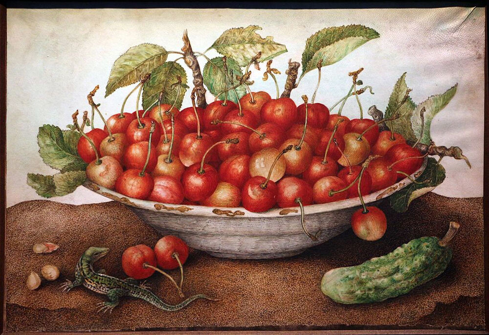 
Чаша с вишней, огурец и ящерица
