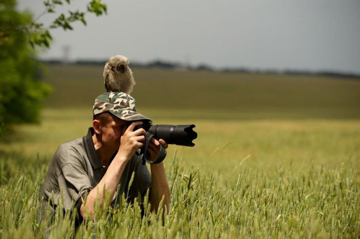 Тэдди выскочил из засады с глухим ревом. Животные с фотоаппаратом. Фотограф в засаде. Фотоаппарат для охоты. Фотограф на природе.