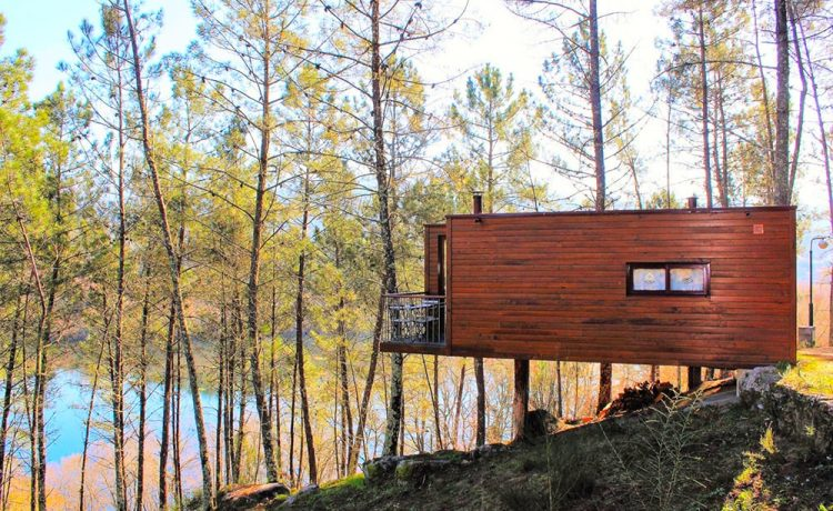 Контейнеры расположены в густом лесу с прекрасным видом на реку