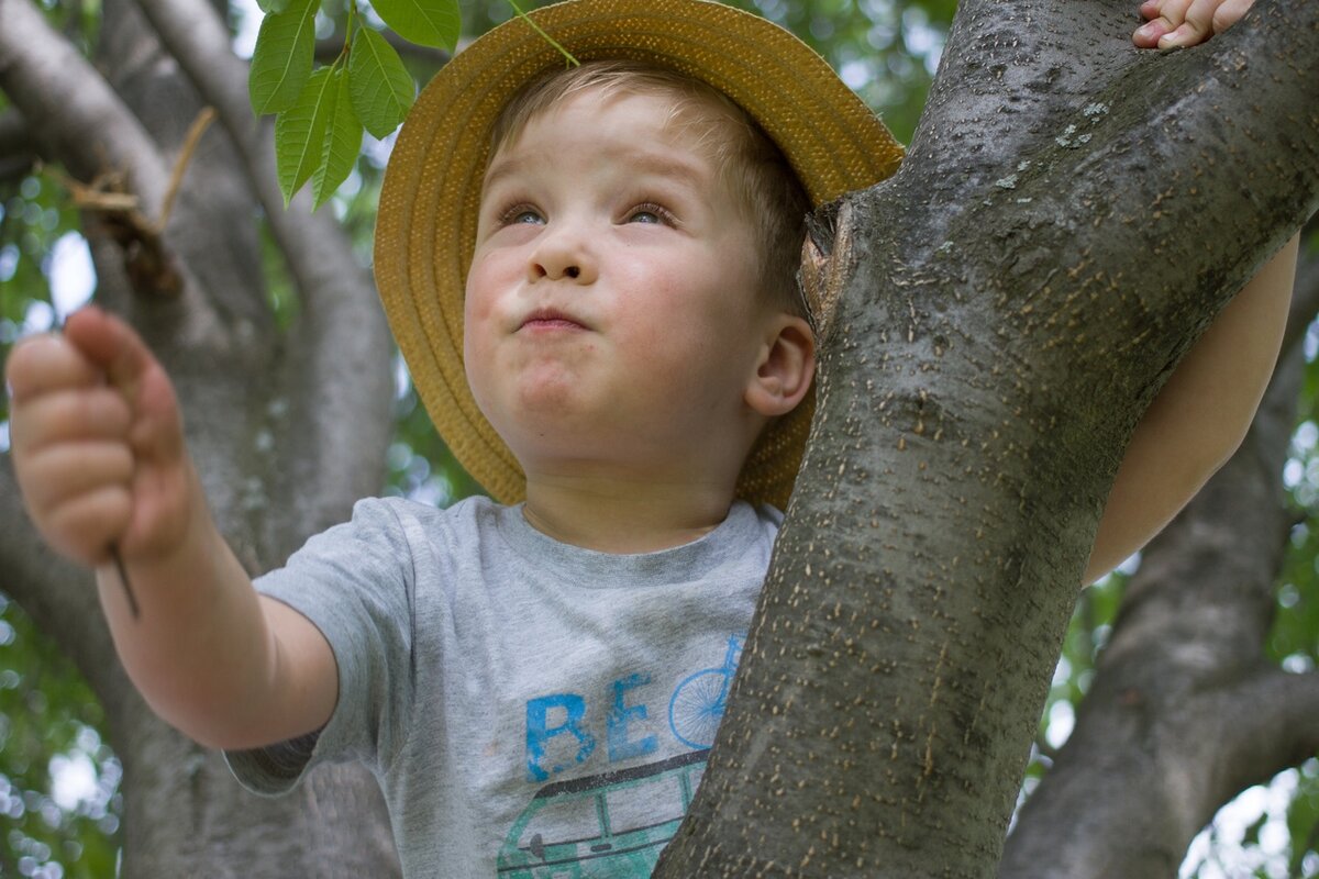 Мой чудесный маленький бандит Герман, почти пяти лет отроду.
