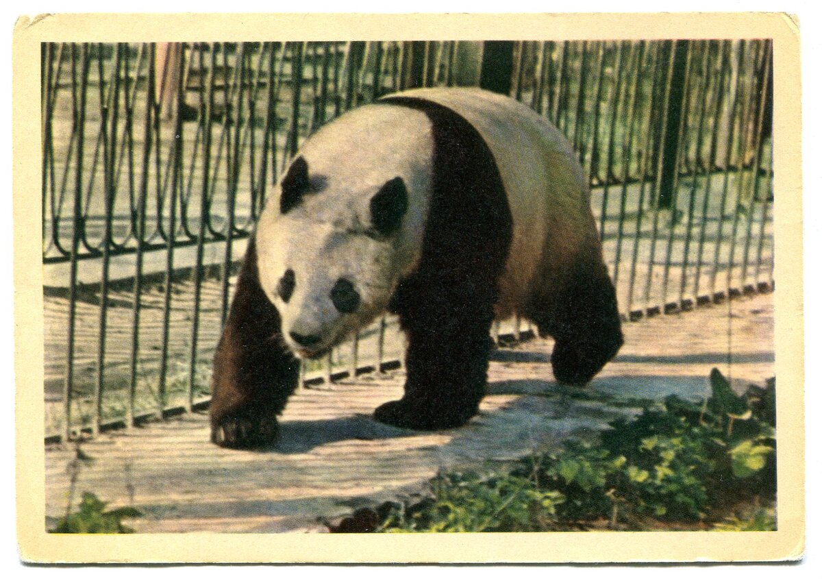 Утро красит нежным светом...