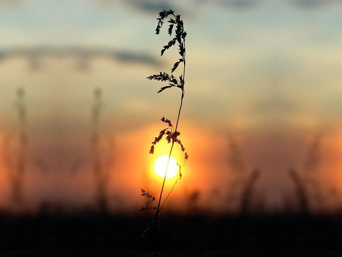 фото с сайта http://islamdag.ru