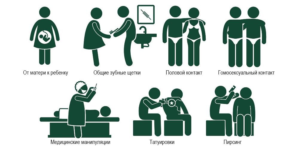 механизм передачи вирусного гепатита в. путь передачи инфекции при заражении вирусным гепатитом в. механизм передачи инфекционных гепатитов. гепатит б механизм. гепатит б механизм.